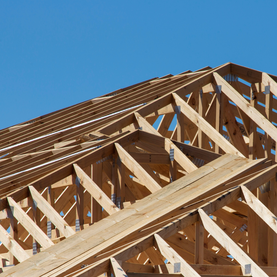 Exposed Trusses