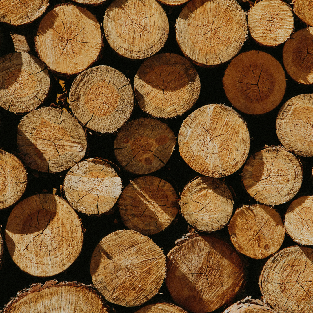 Image of cut logs
