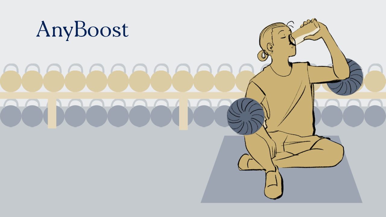 AnyBoost: el algoritmo perfecto que no funciona