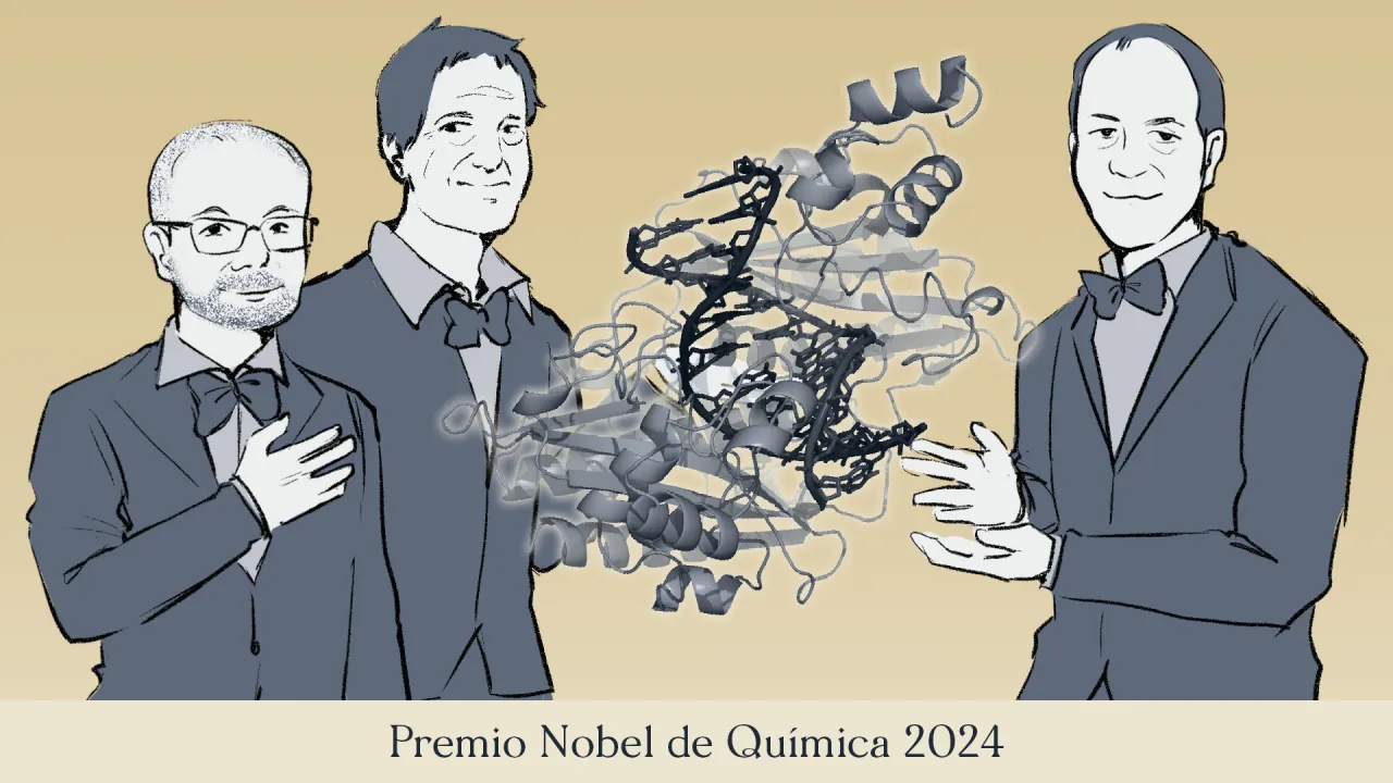 Premio Nobel de Química: los algoritmos de Baker y Hassabis-Jumper para el diseño de proteínas