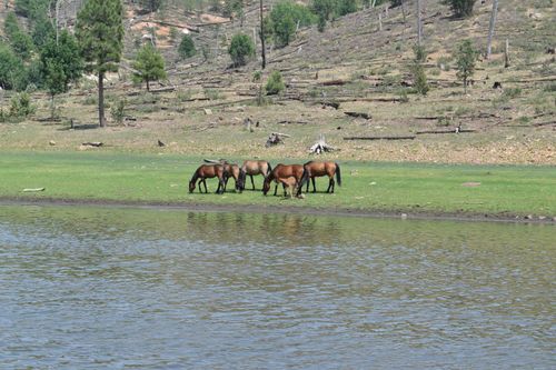 image of a school event