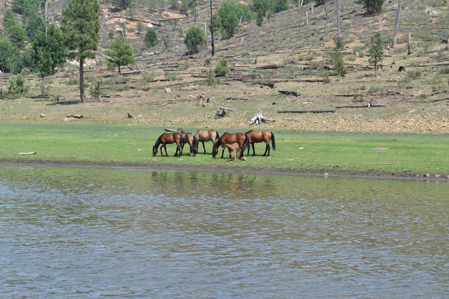 image of a school event