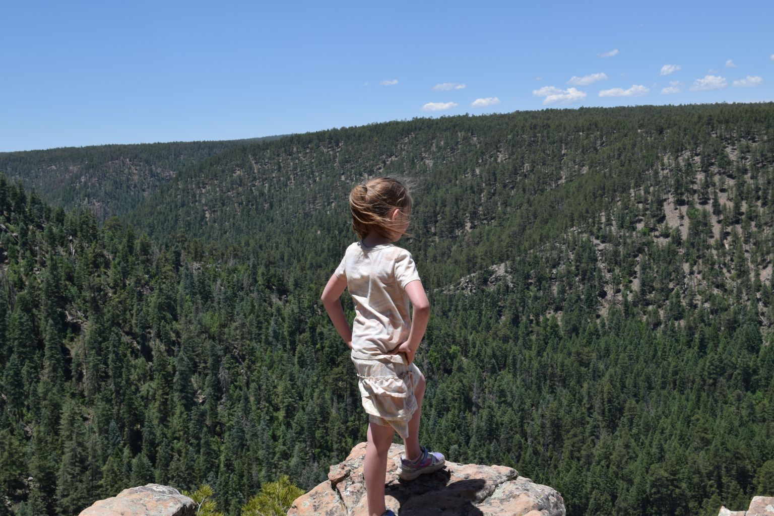 image of a school campus (for a edtech)