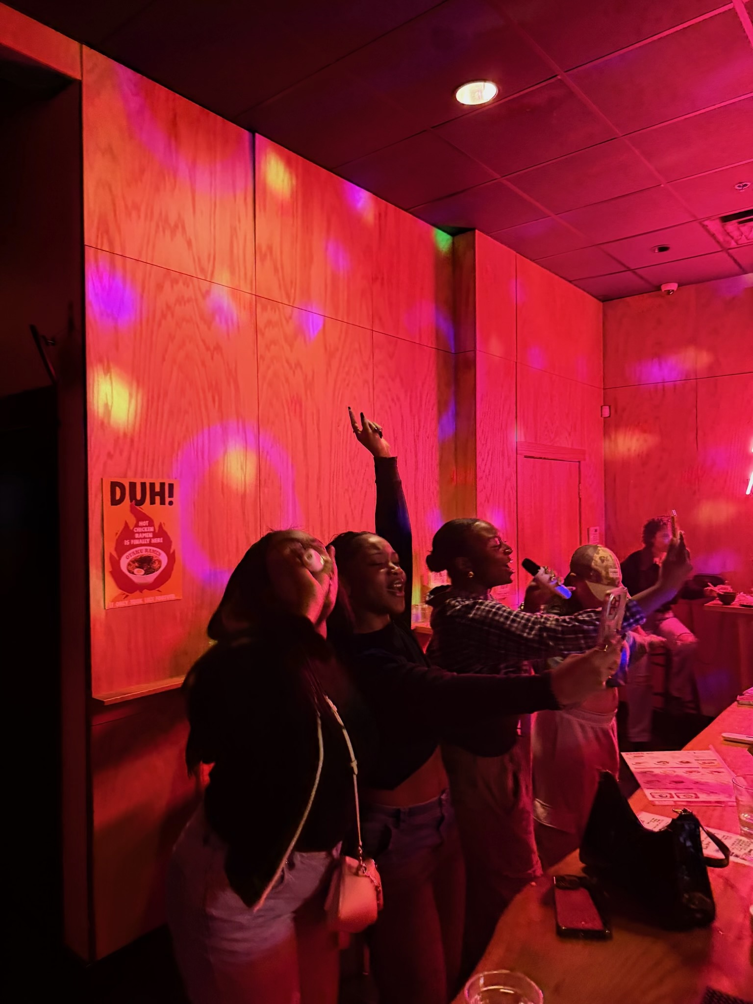 Nashville karaoke experience