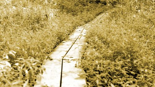 image of a teacher interacting with students using digital tools
