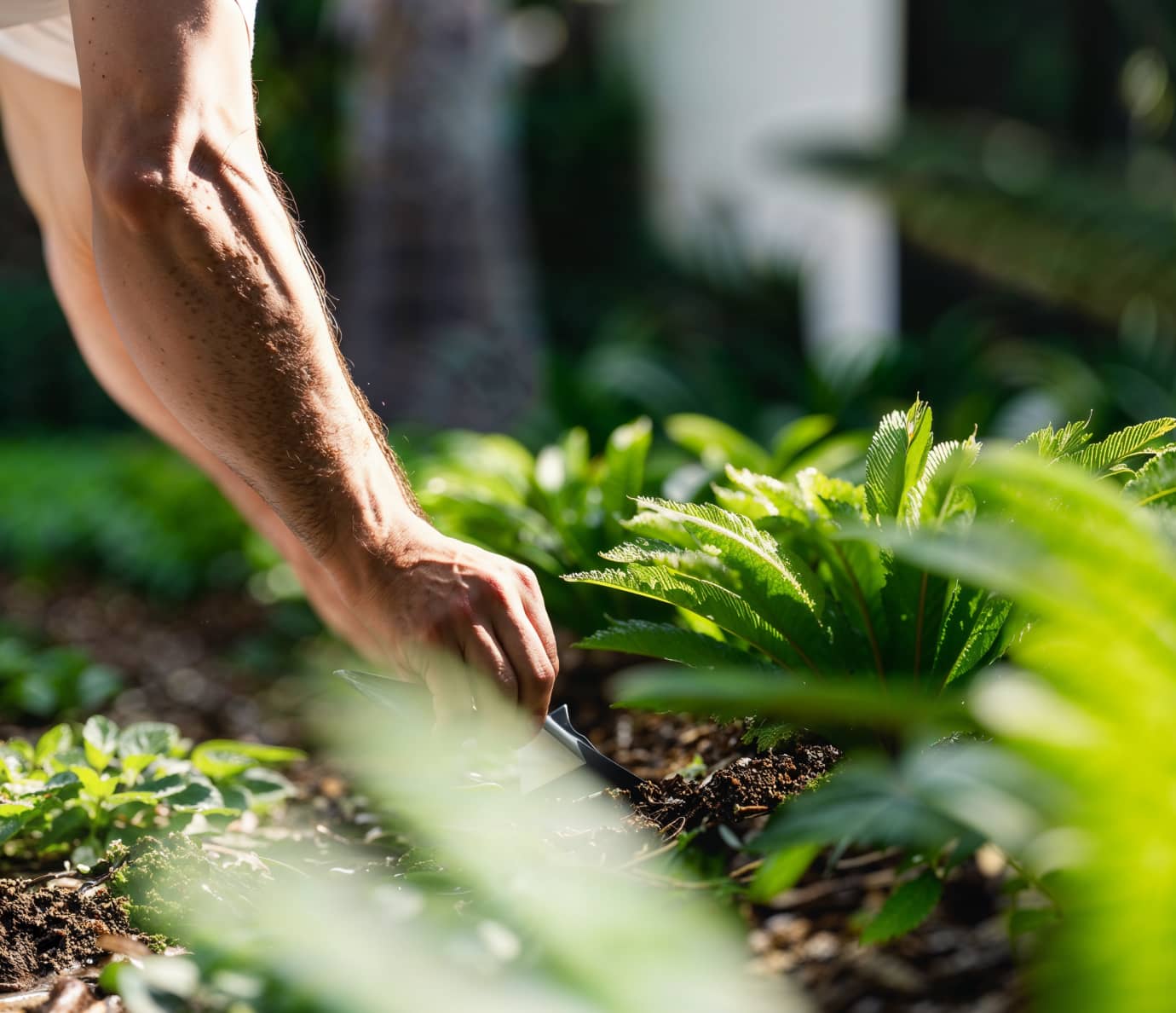 Let Us Bring Life to Your Garden - Landscaping X Webflow Template