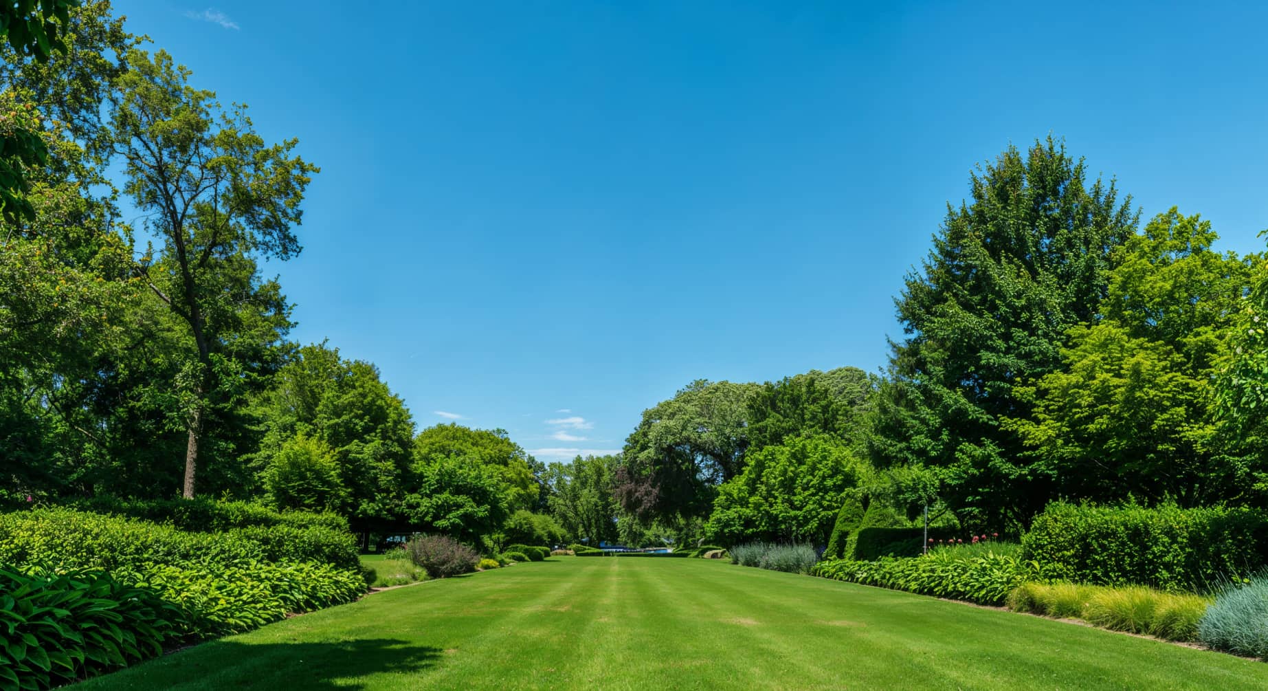 Let us Bring Life to your Garden - Landscaping X Webflow Template