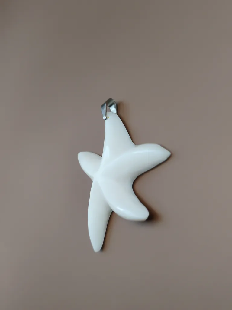 Pendentif os étoile de mer vue droite