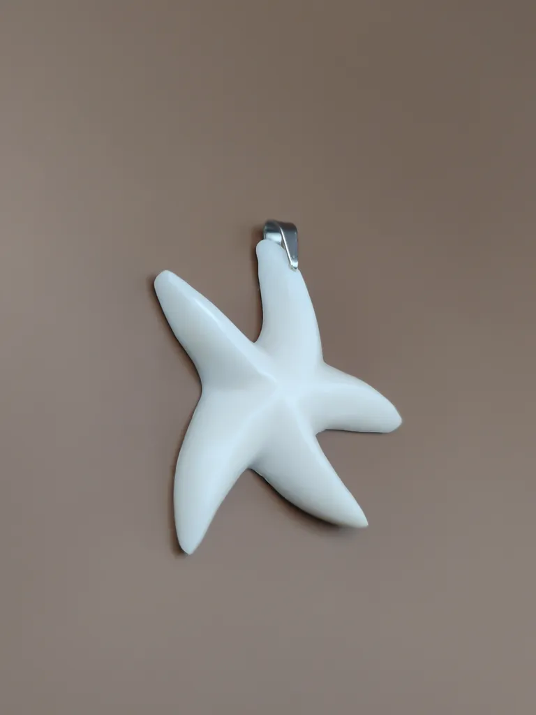 Pendentif os étoile de mer vue gauche