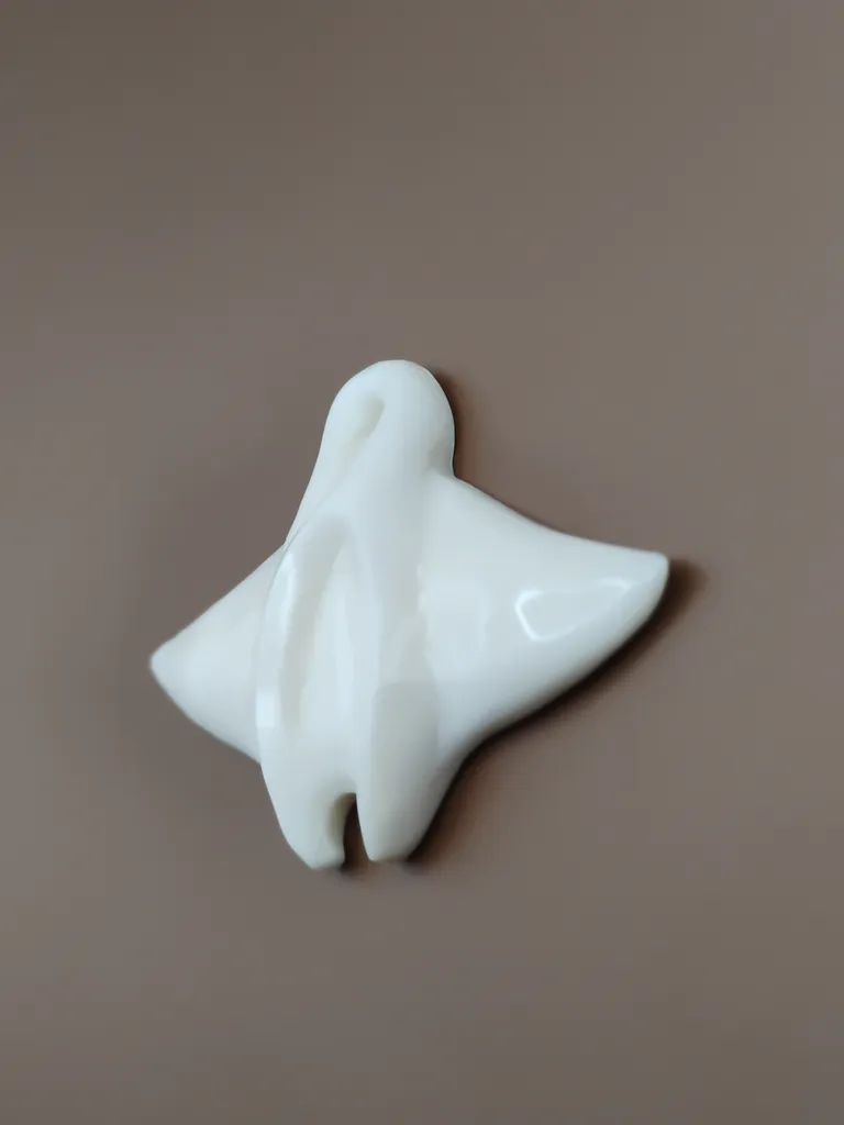 Pendentif os raie manta vue droite