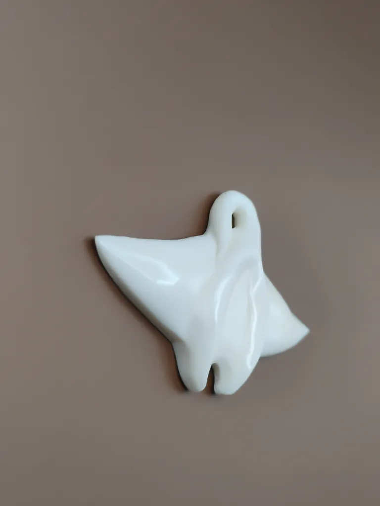 Pendentif os raie manta vue gauche
