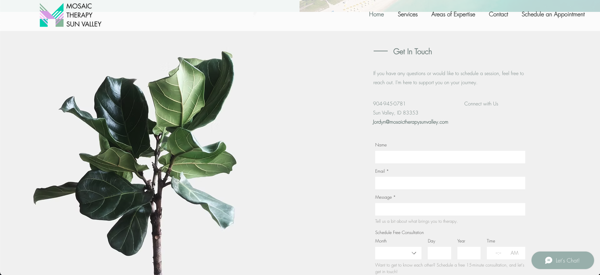 Mosaic Therapy Sun Valley