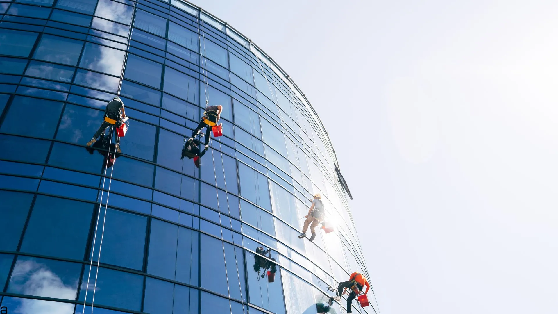 Four workers suspended on ropes cleaning the large curved glass windows of a modern skyscraper.
