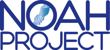 Noah Project Logo