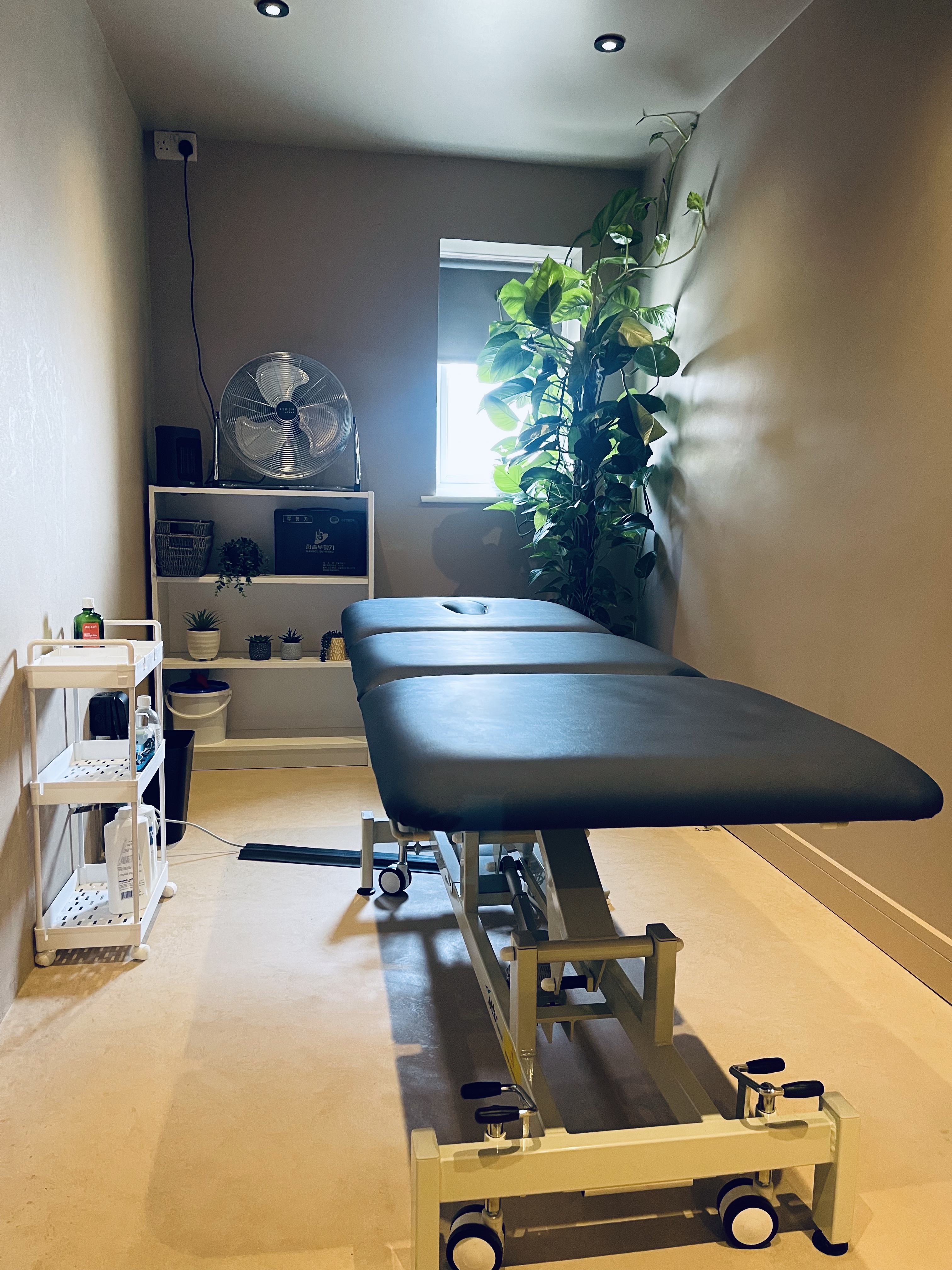 Discussing an assessment at Resync Physiotherapy, Balsall Common