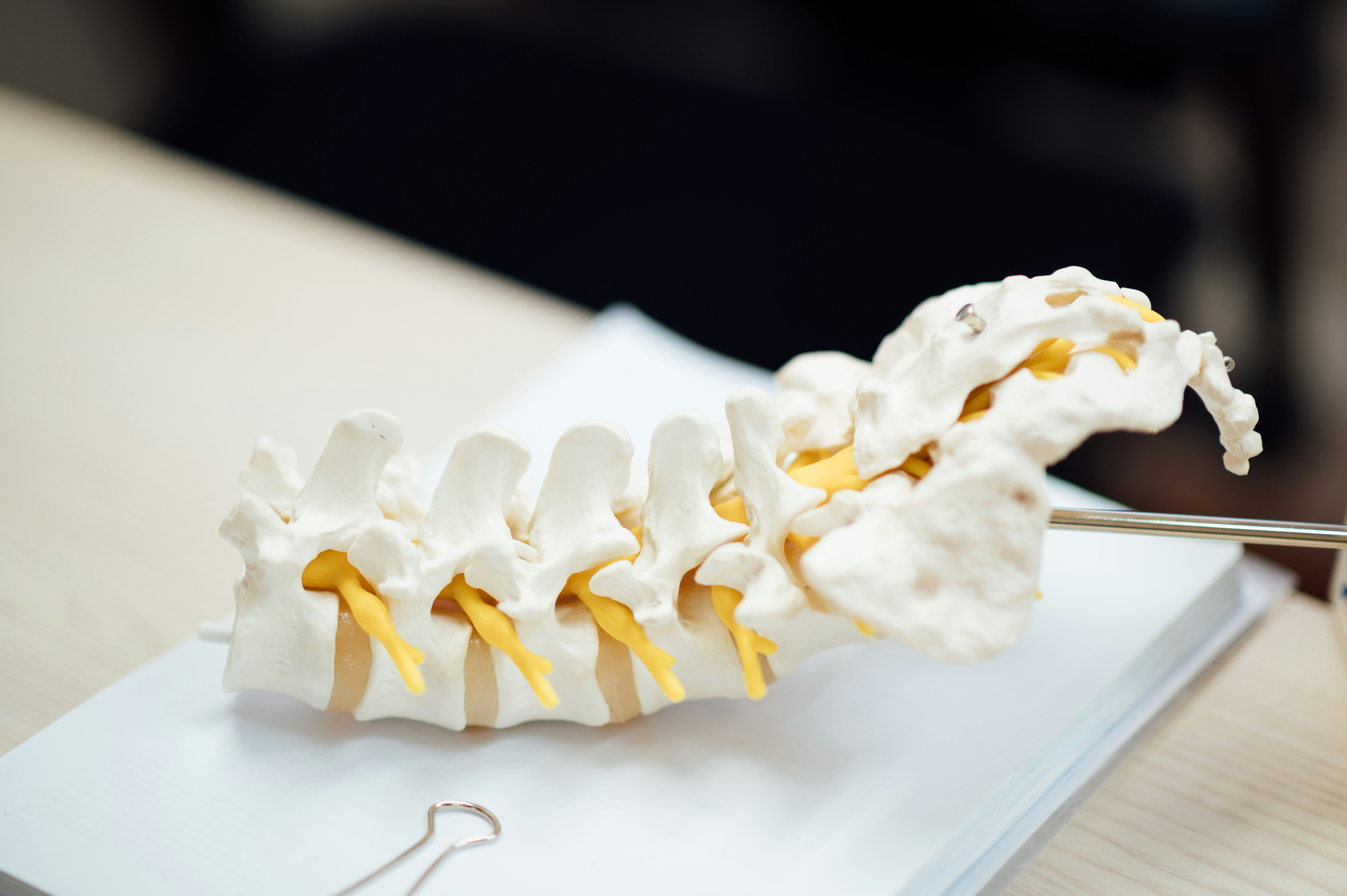 Back pain treatment in Balsall Common