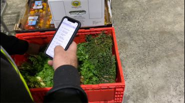 The big benefits of a wholesale ordering system