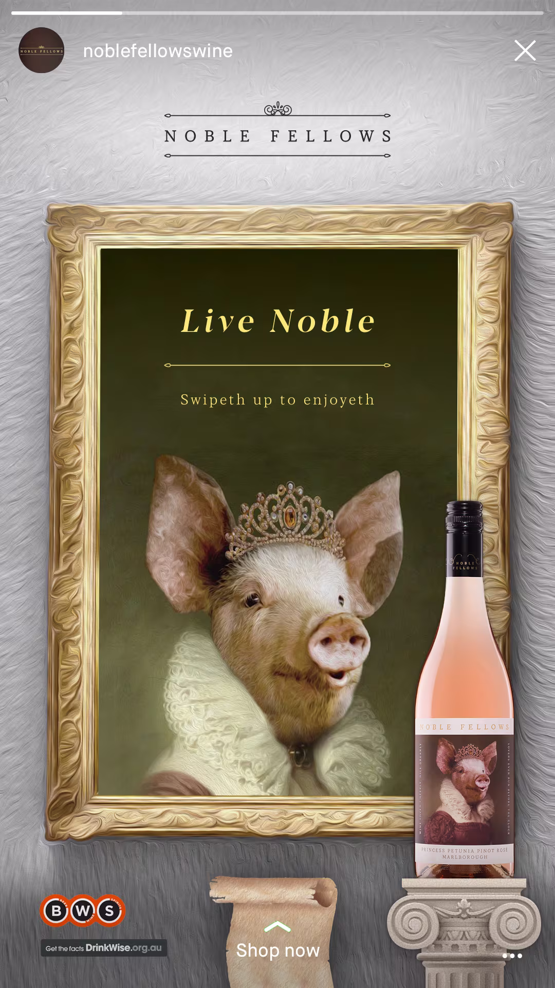 Live Noble Image 7
