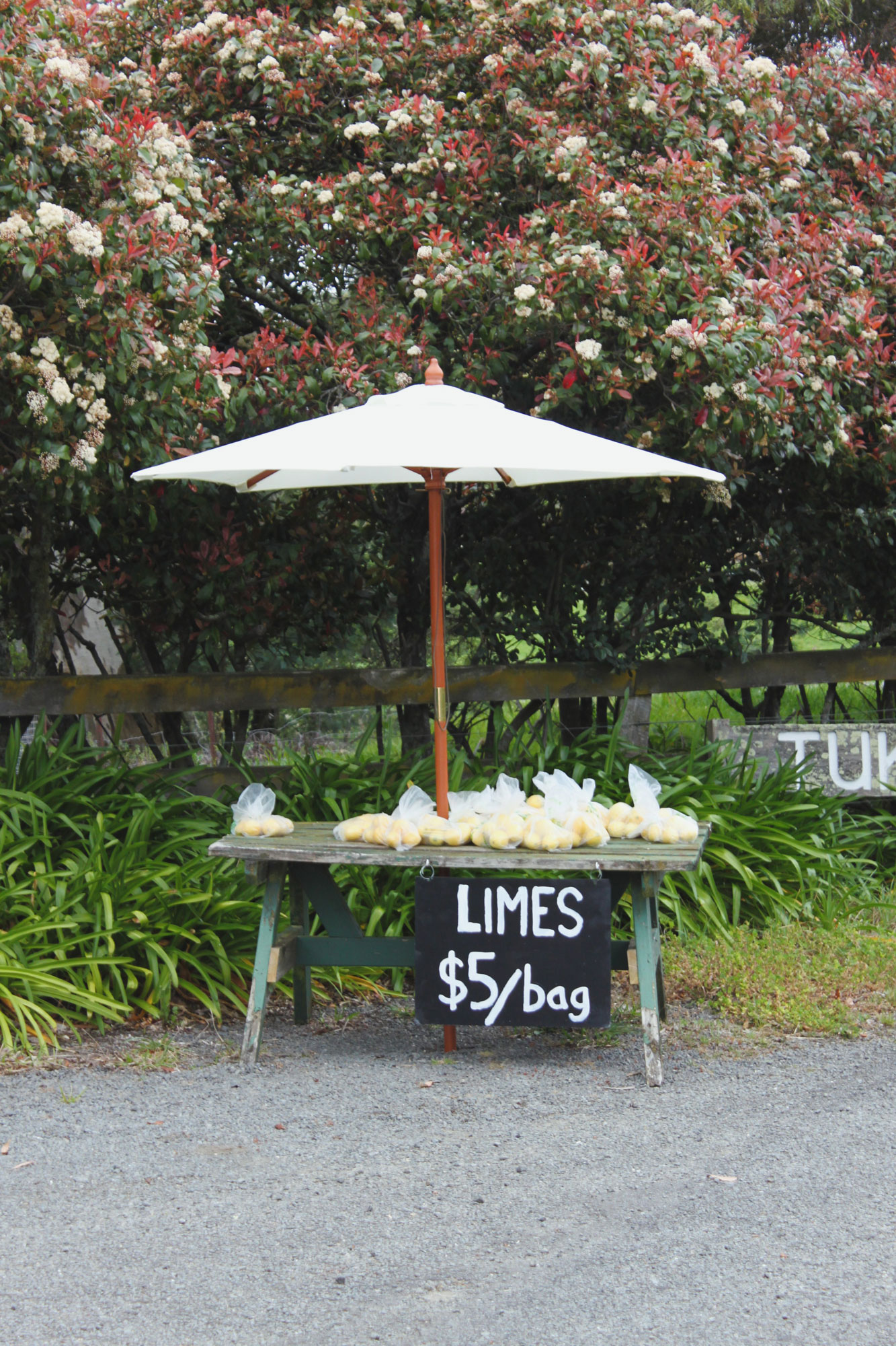 A lemon stand on the side of the road in Havelock North.