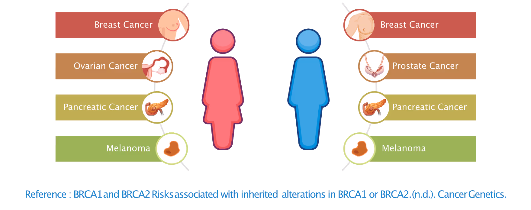 BRCA1 AND BRCA2 Risks associated with inherited alterations in BRCA1or BRCA2
