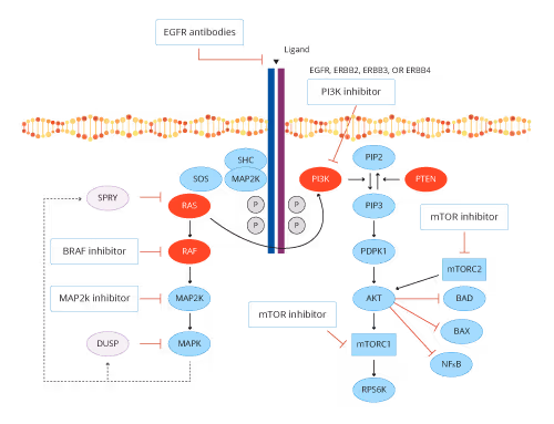 Role of CGP in overcoming the roadblocks in Cancer treatment