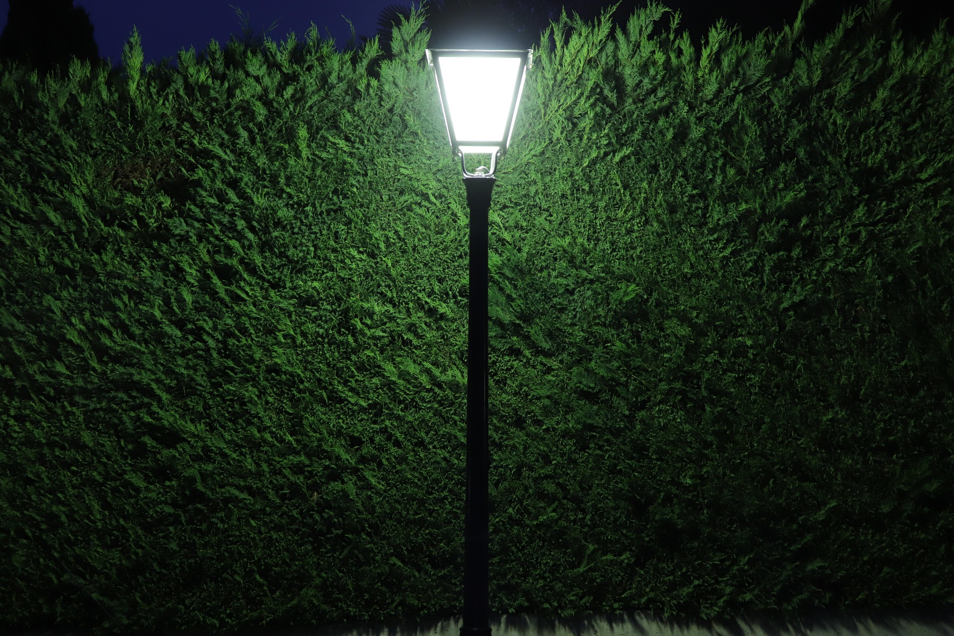 Juguanu Smart light