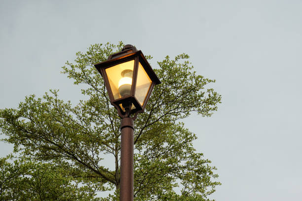 Juguanu Smart light