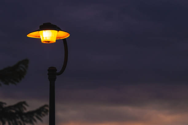Juguanu Smart light