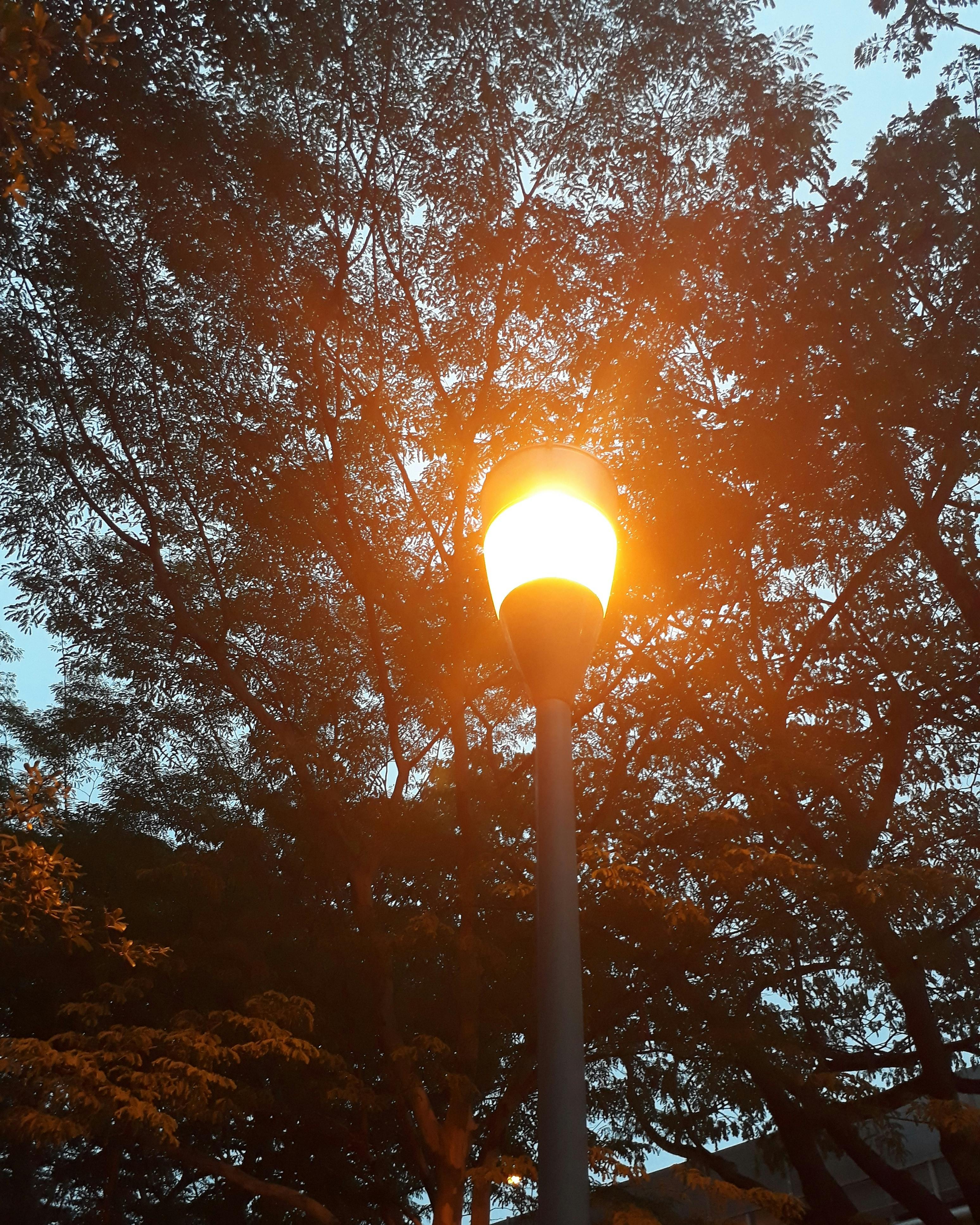 Juguanu Smart light