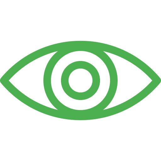 Owl Eye camera