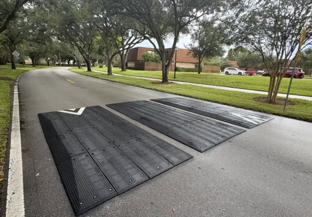 Speed Cushions