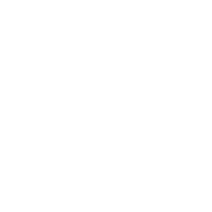 ‍Turnkey delivery