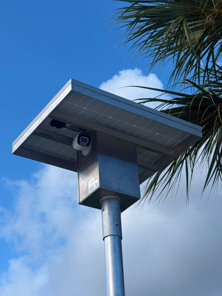 Owl Camera System