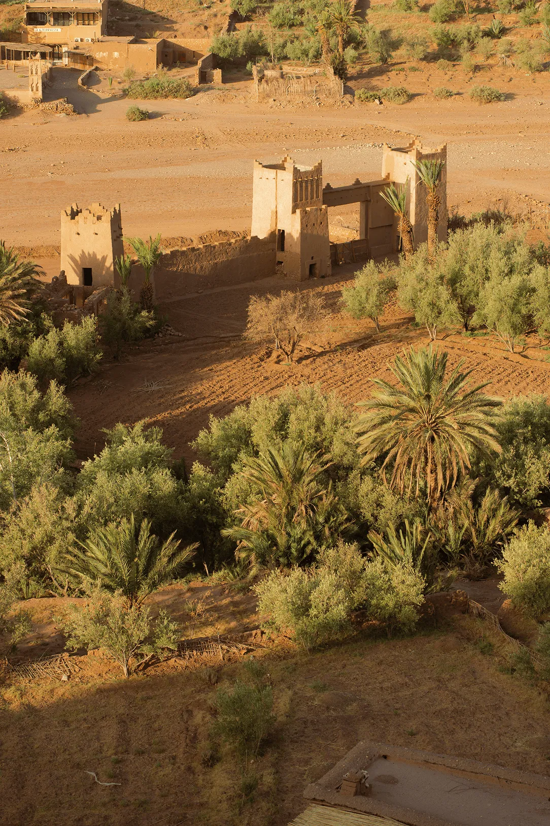 Ancient mud-brick fortress towers surrounded by palm trees and greenery in a desert landscape.