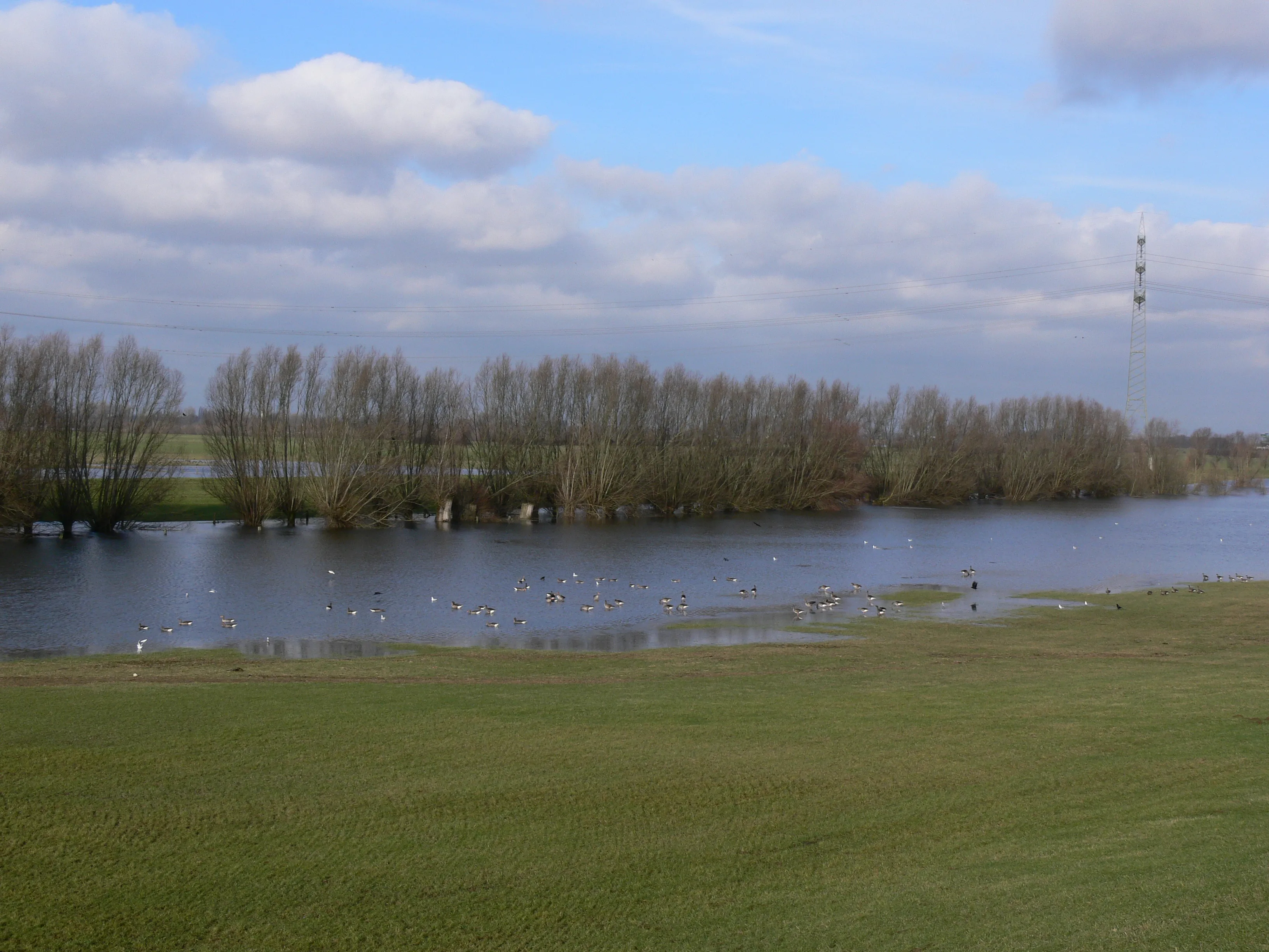 Renaturiertes Flussufer mit Ausgleichsfläche – ökologische Begleitplanung und Wasserschutz