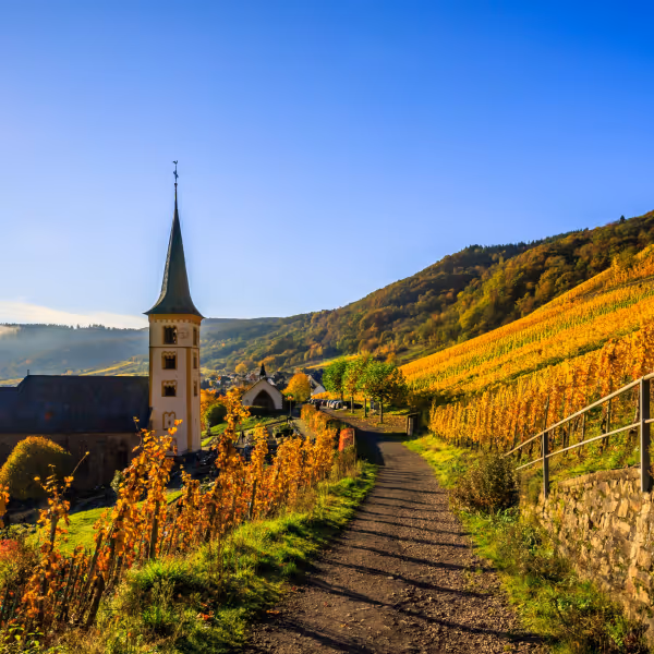 Restaurants 19 Bezirk Wien
