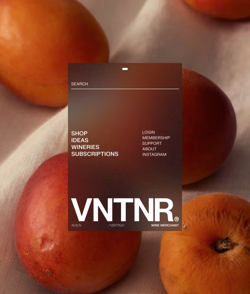 About V1 img