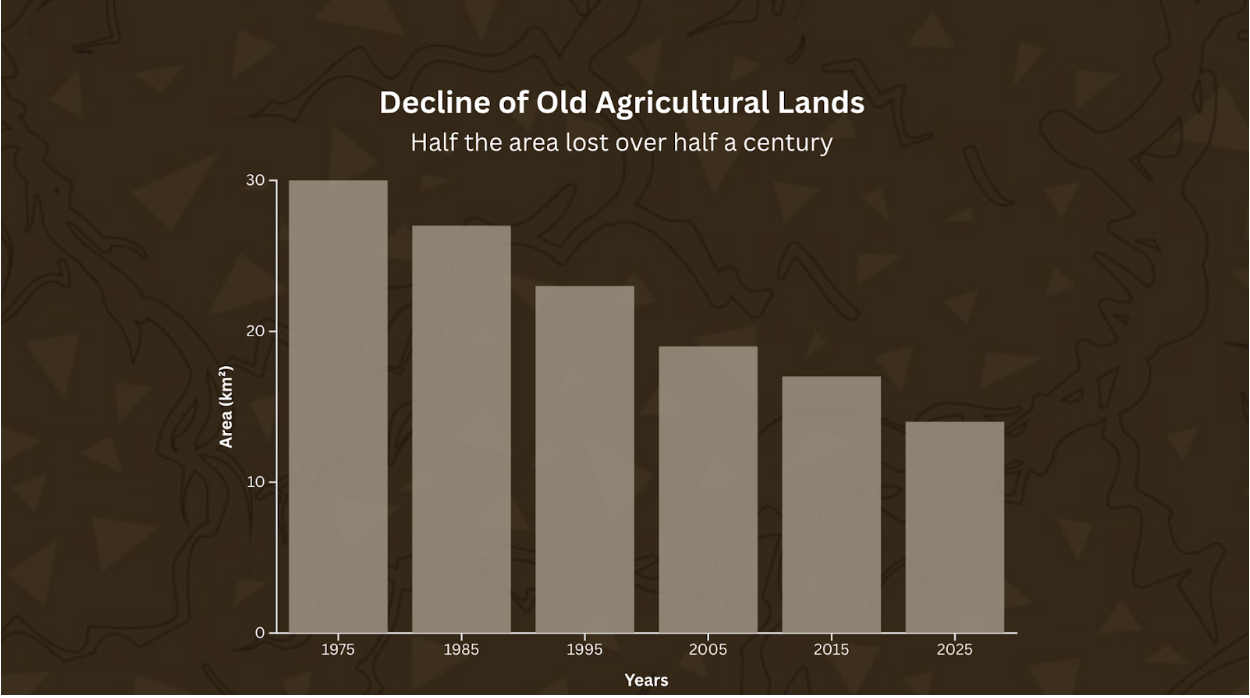 A bar chart showing the decline of old Agricultural lands in the Egyptian desert