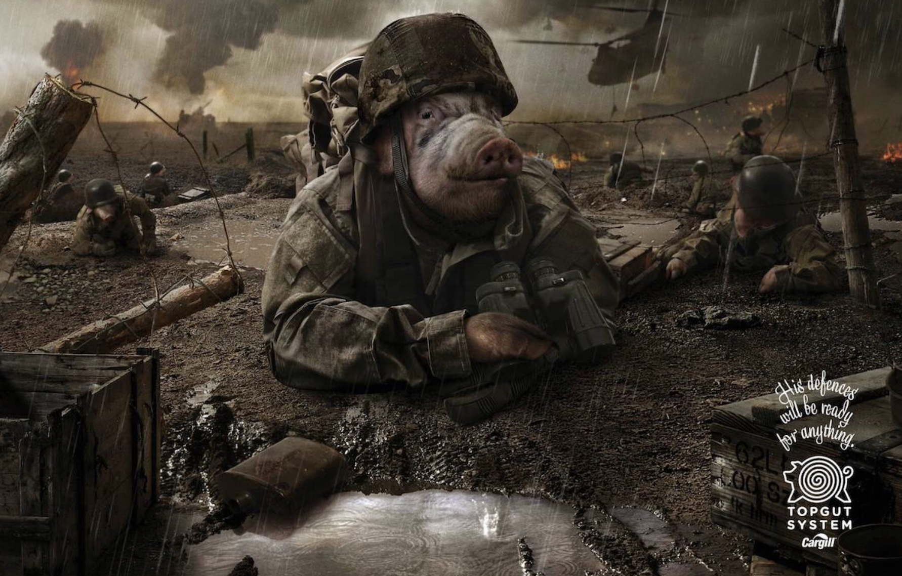 Illustration of Cargill that Sara used in her article.