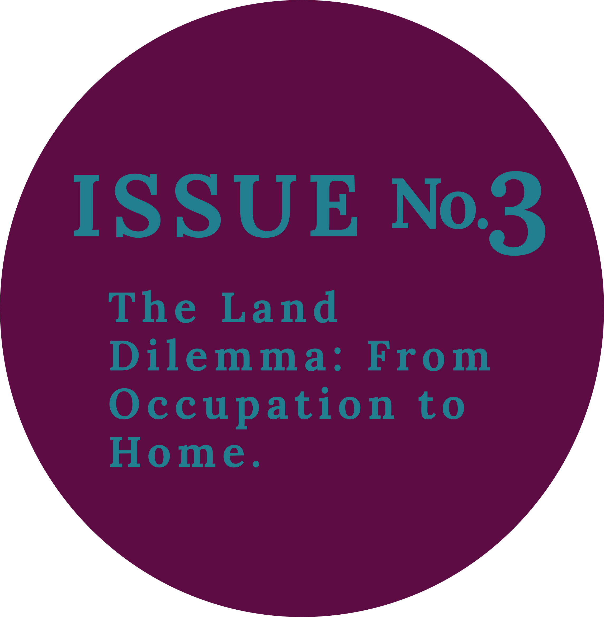Bertha Stories issue No.3, the land dilemma: from occupation to home.