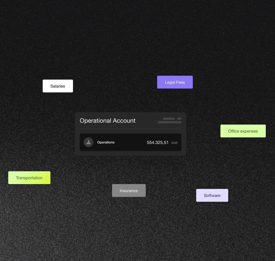 Dark-themed operational account dashboard showing a balance of 554,325.51 EUR with labels for Salaries, Legal Fees, Office expenses, Transportation, Insurance, and Software around it.