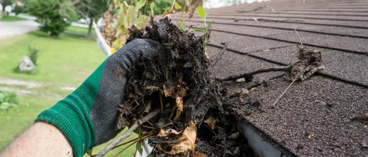 image of gutter clean