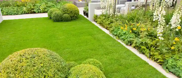 an image of a garden