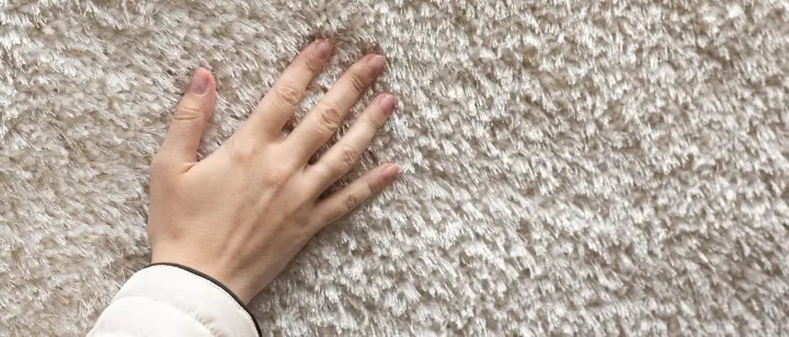 image of carpet