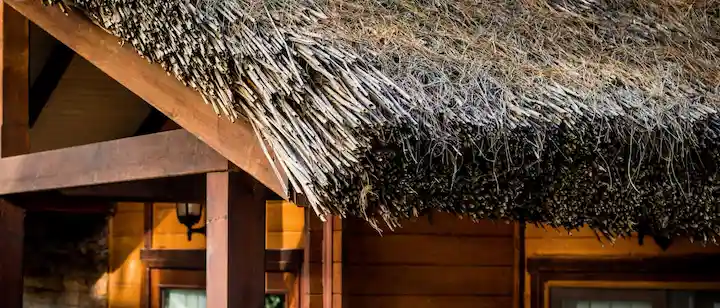 an image of Thatched Roof