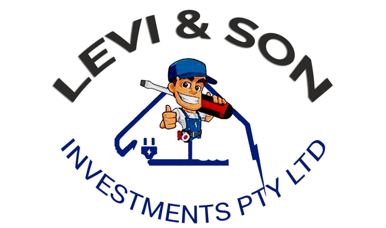 Levi And son investment