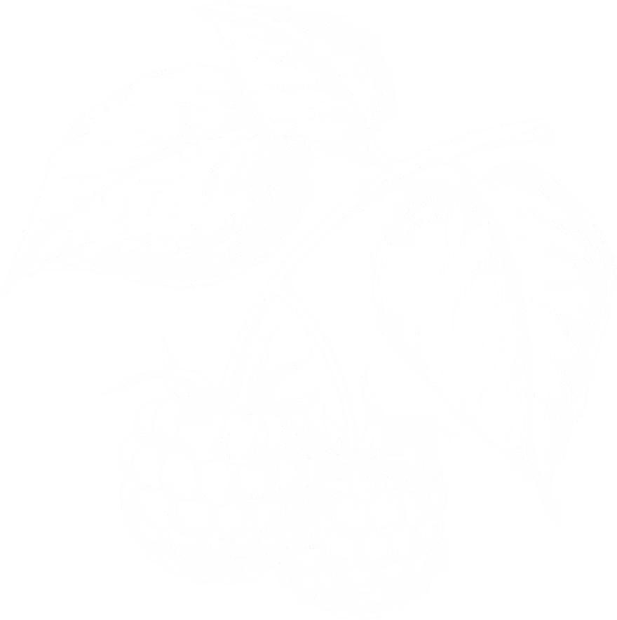 Blackberry illustration