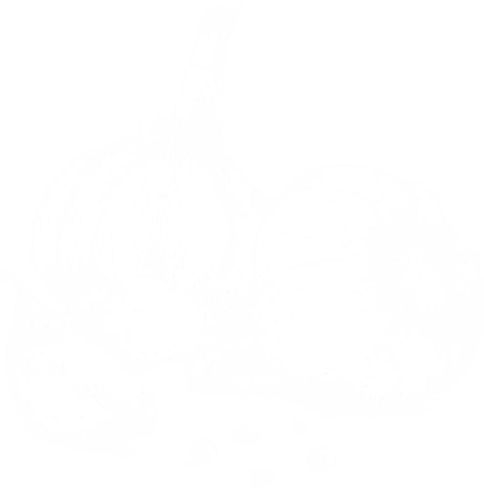 Onion illustration