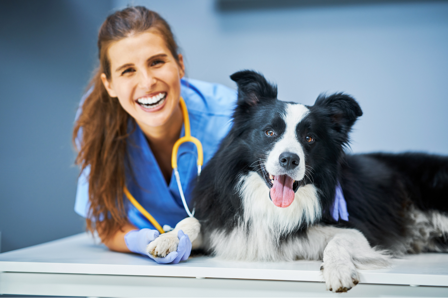 Vet and Dog smiling at camera.