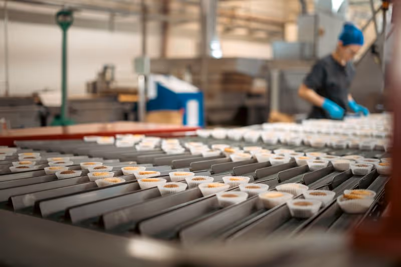 a conveyor belt closeup
